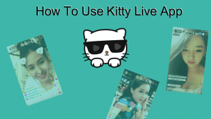 How to use Kitty Live